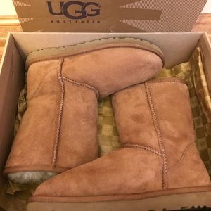 LAST CHANCE UGG Classic Short Chestnut Size 6